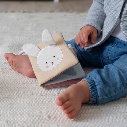 Book Teddy & friends