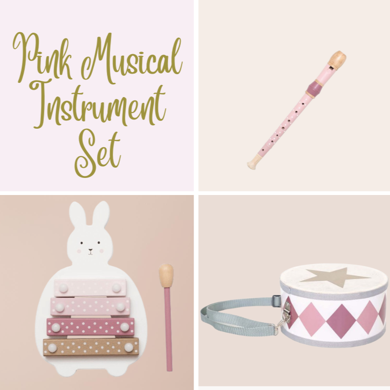 Pink Musical Instrument Set of 3 with Gift Box