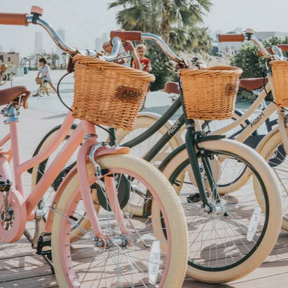 The Dutch Style 20" Pink Gloss