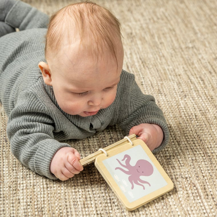 Play And Learn Box 6-12 Months