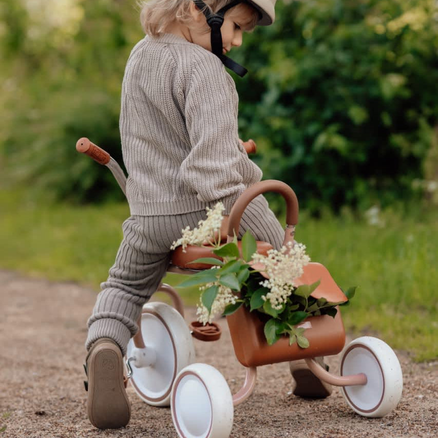 Tricycle - Oak
