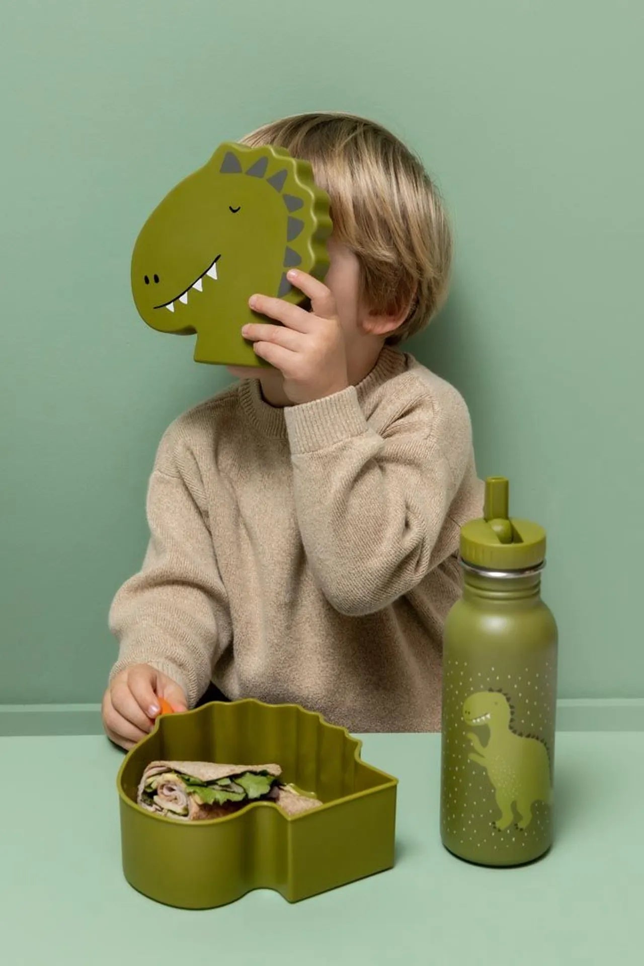 Shaped Lunch Box - Mr. Dino
