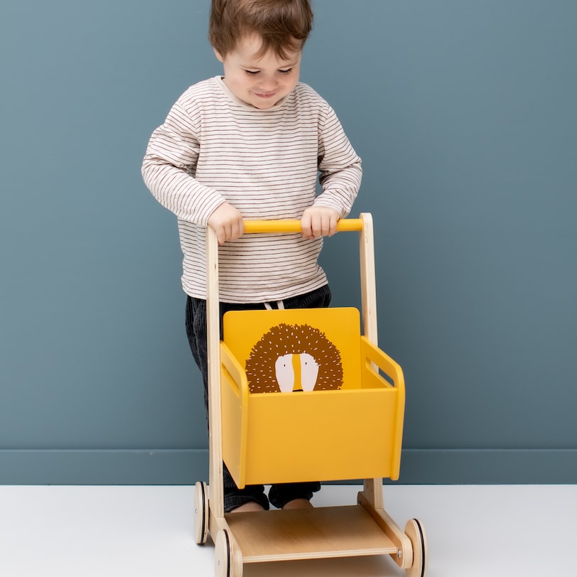 Wooden shopping cart - Mr. Lion