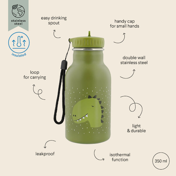 Insulated Water Bottle (350Ml) - Mr. Dino