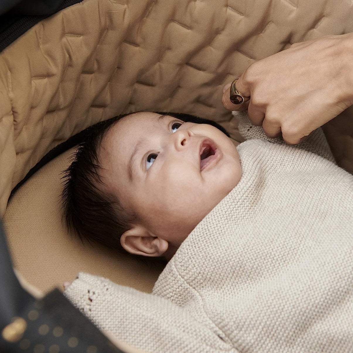 Xplory X Carry Cot Signature Gold