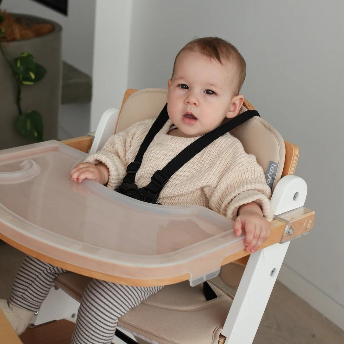 Kaylula Ava Forever High Chair  - White/Beech