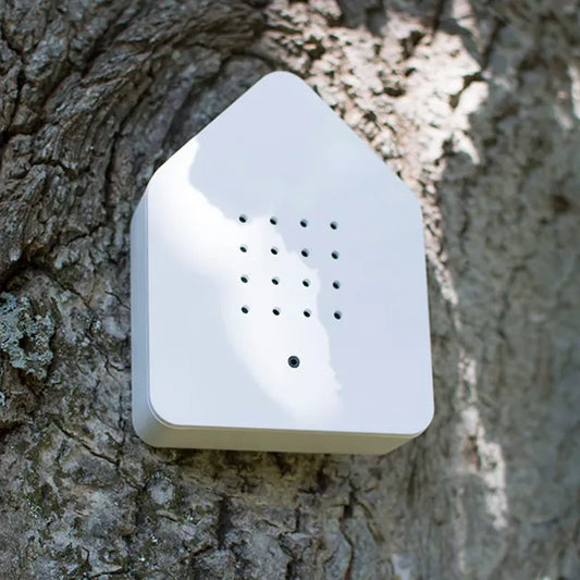 Zwischerbox White