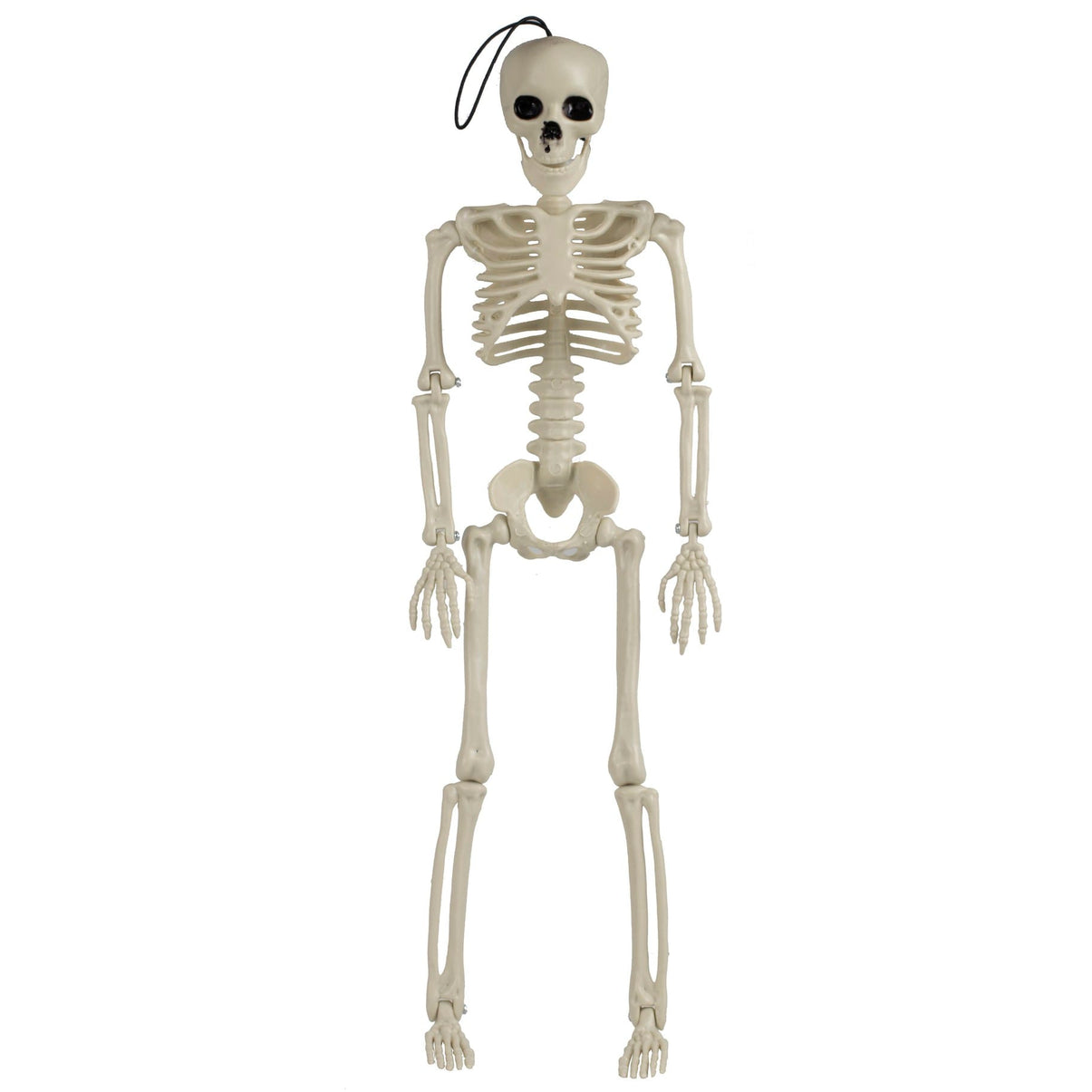 Large Skeleton Decoration