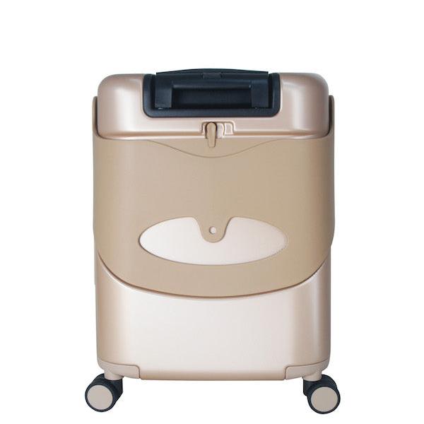 Carry-On Luggage Bag - Champagne Gold, 18 inch