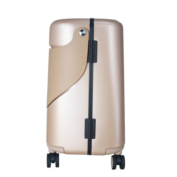 Carry-On Luggage Bag - Champagne Gold, 18 inch