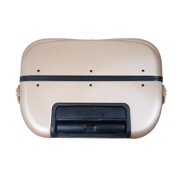 Carry-On Luggage Bag - Champagne Gold, 18 inch