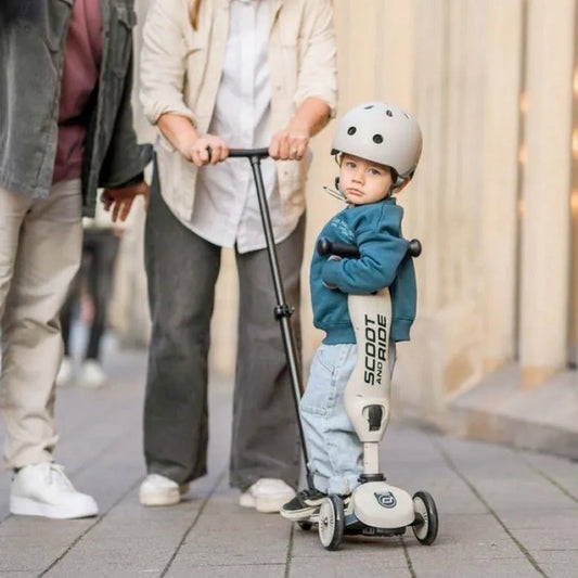 Scoot & Ride Highwaykick 1 Push and Go Ash