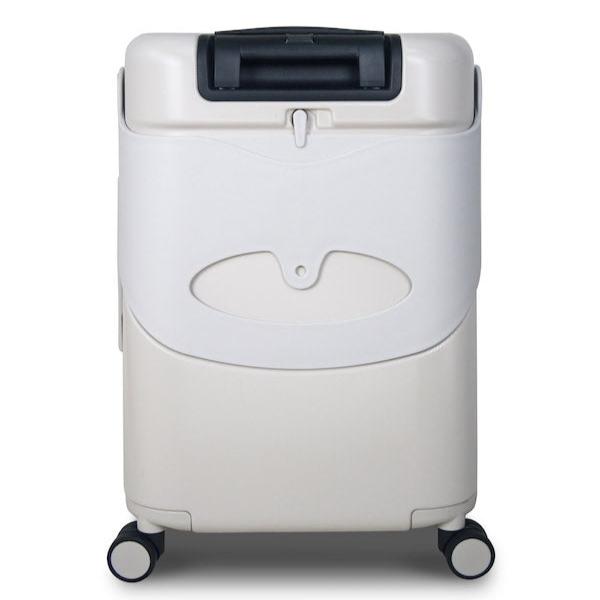Check-in Luggage Bag - Mist grey, 24 inch