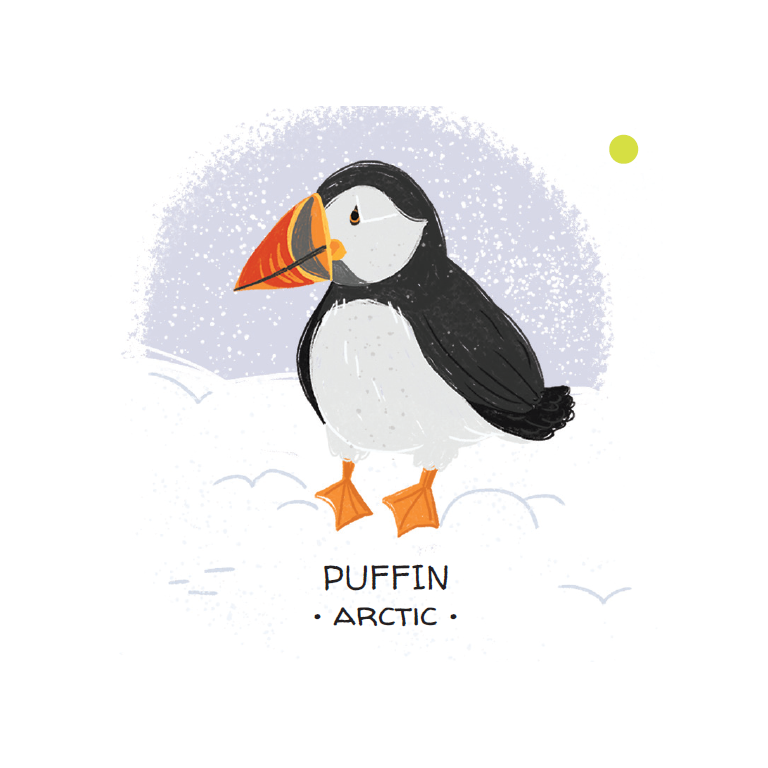 Memory Animals To Save - Polar Ice