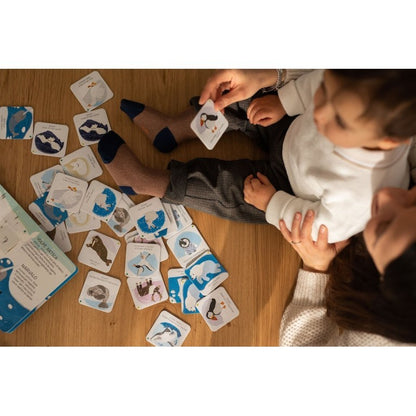 Memory Animals To Save - Polar Ice