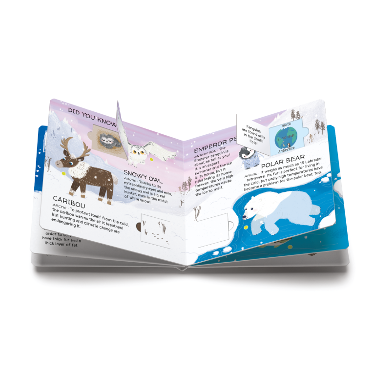 Memory Animals To Save - Polar Ice