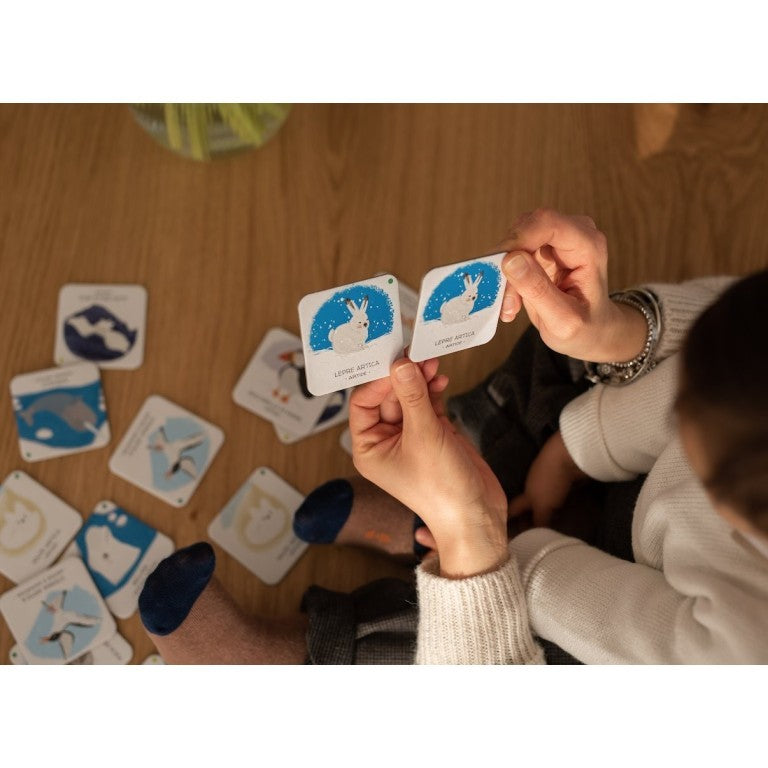 Memory Animals To Save - Polar Ice