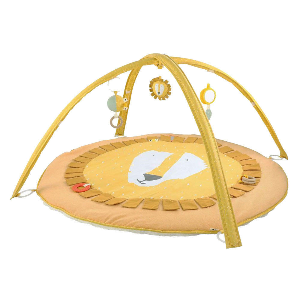 Activity Mat - Mr. Lion