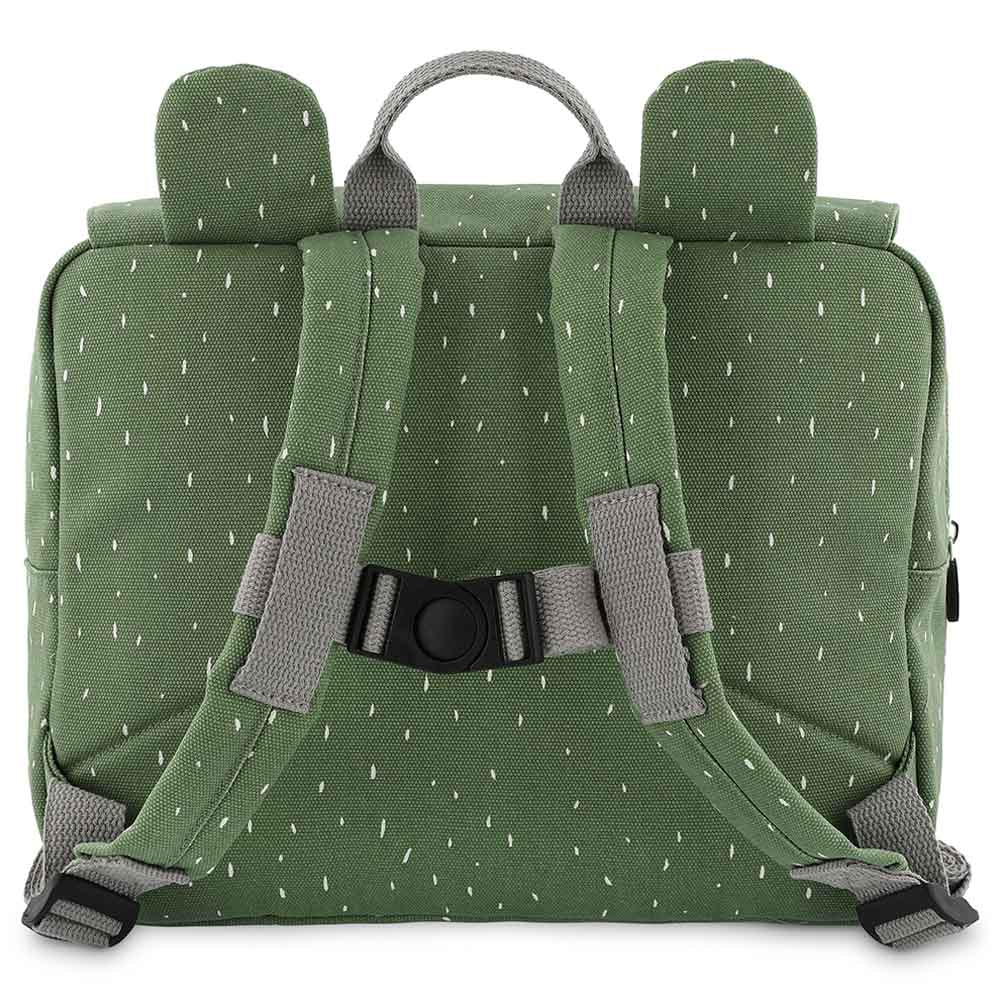 Satchel Mr. Frog