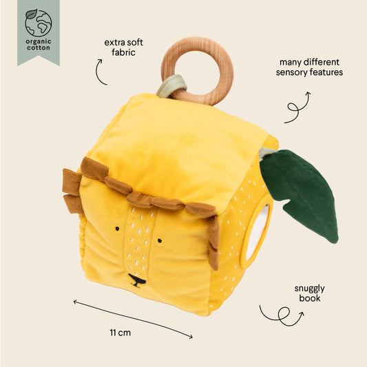 Activity Cube - Mr. Lion