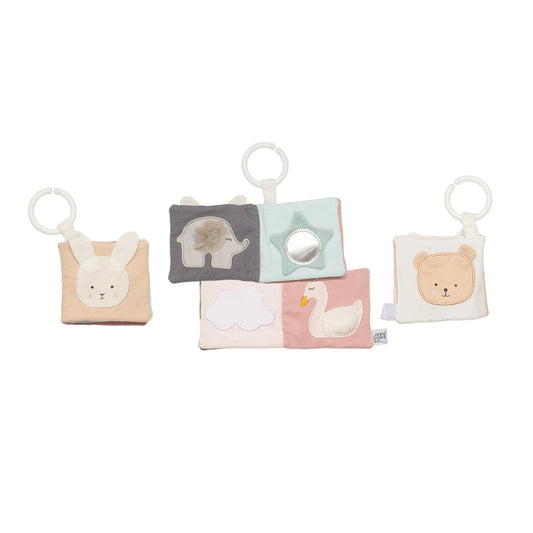 Book Teddy & friends