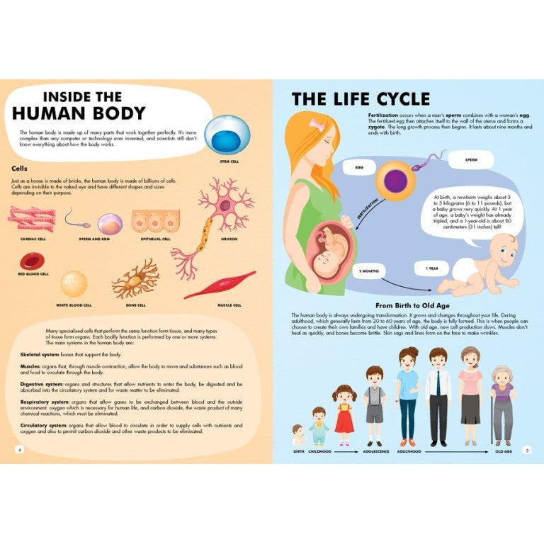 Puzzle - Travel, Learn & Explore - All About Human Body