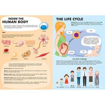 Puzzle - Travel, Learn & Explore - All About Human Body