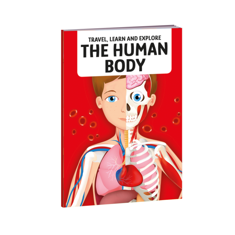 Puzzle - Travel, Learn & Explore - Human Body