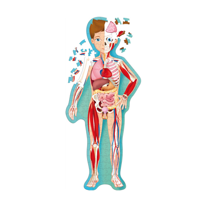 Puzzle - Travel, Learn & Explore - Human Body