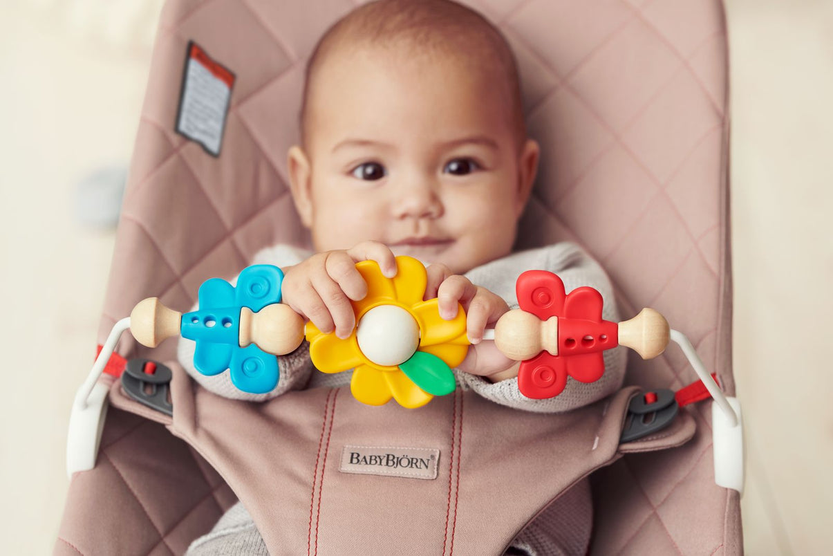 BabyBjörn - Toy for Bouncer - Flying Friends