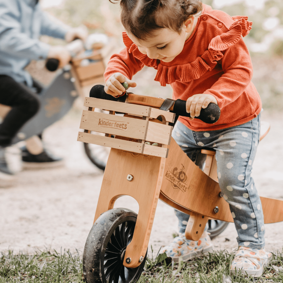 2-in-1 Tiny Tot Tricycle & Balance Bike