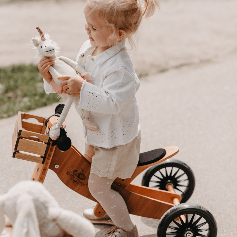 2-in-1 Tiny Tot Tricycle & Balance Bike