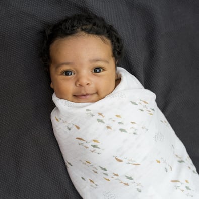 Cotton Swaddles - Fish / Navy Gingham