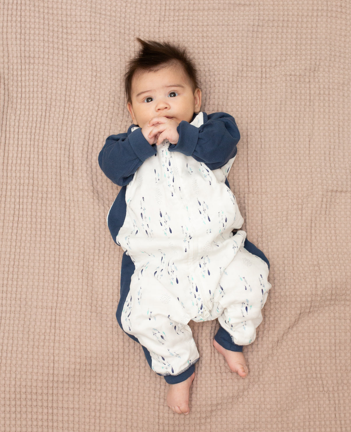Lulujo - SLEEPSUIT - FISH - SIZE S (6-18Months)