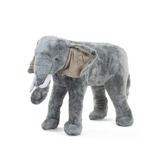 new born baby gifts dubai by Elli Junior Babywear Trading LLC