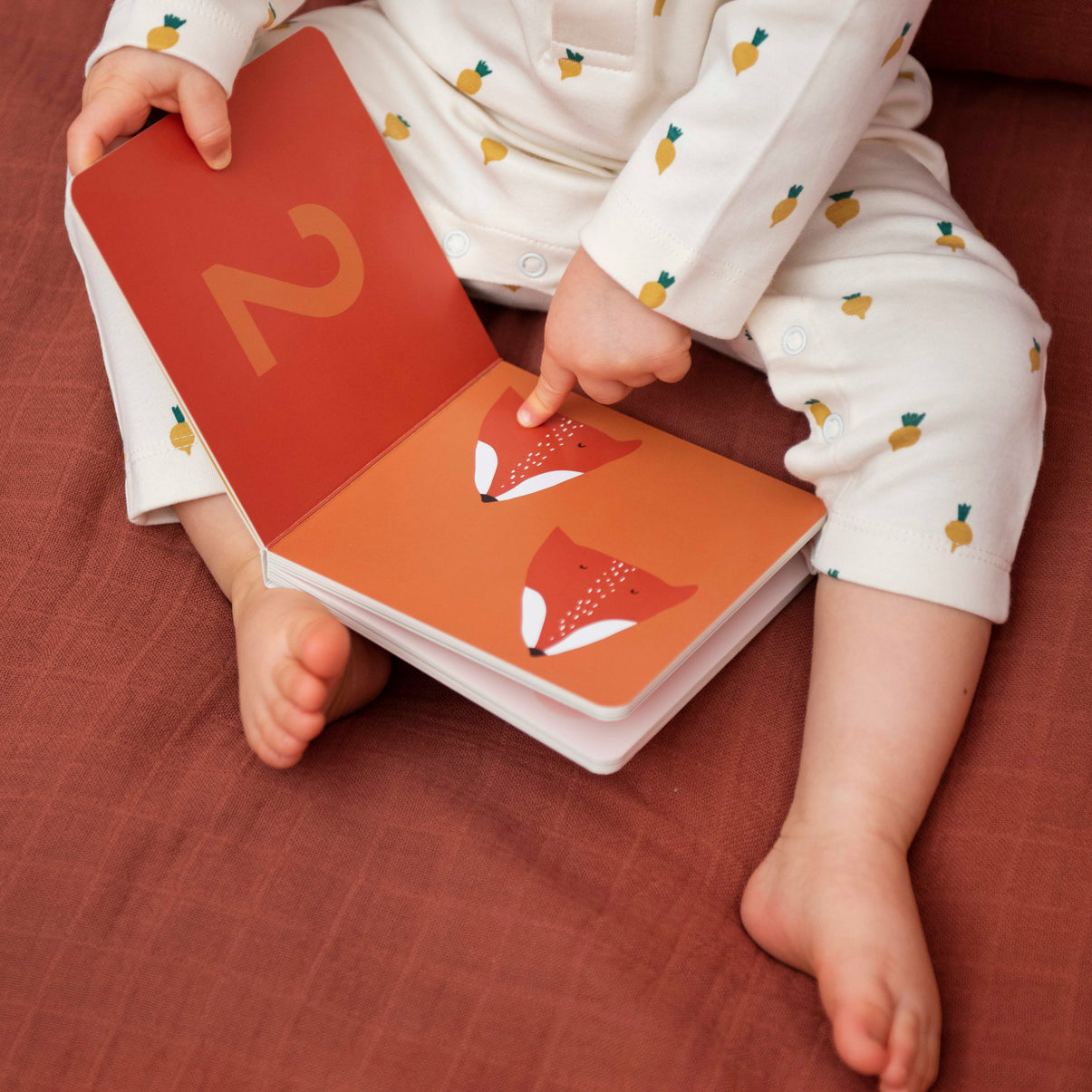 Counting Book