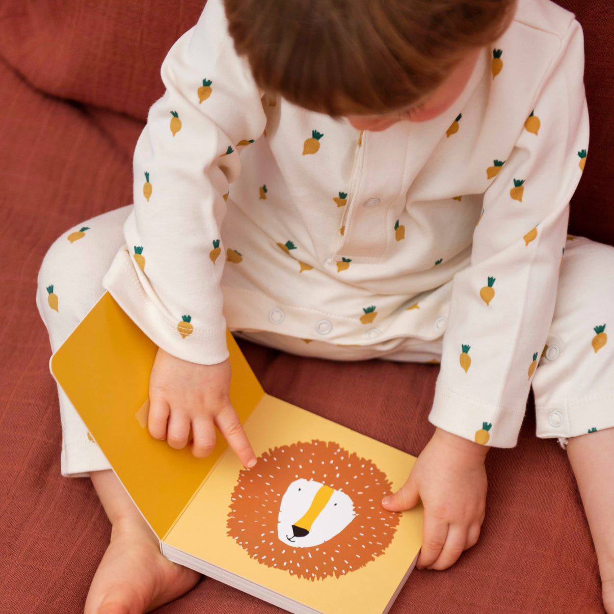 Counting Book
