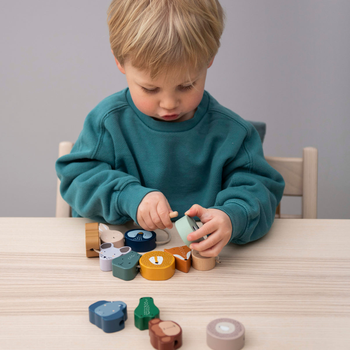 Wooden Animal Lacing Beads