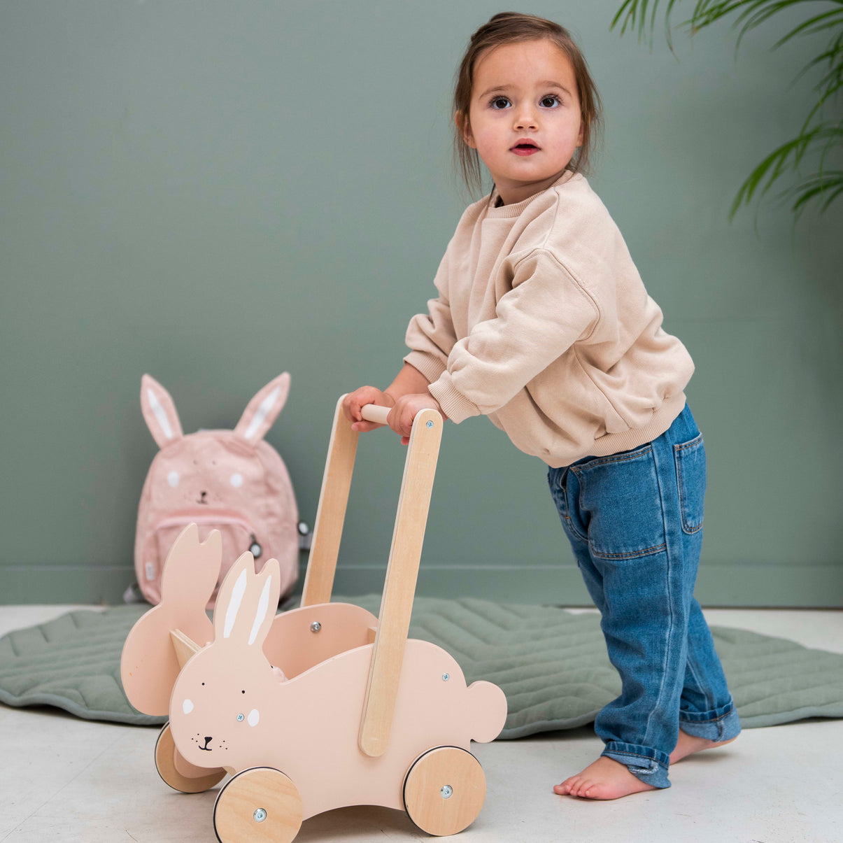 Wooden Push Along Cart - Mrs. Rabbit (NOT A Walker)