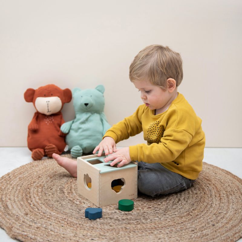 Wooden Shape Sorter