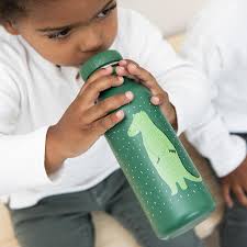 Trixie - Stainless Steel Bottle (500ml) - Mr. Crocodile