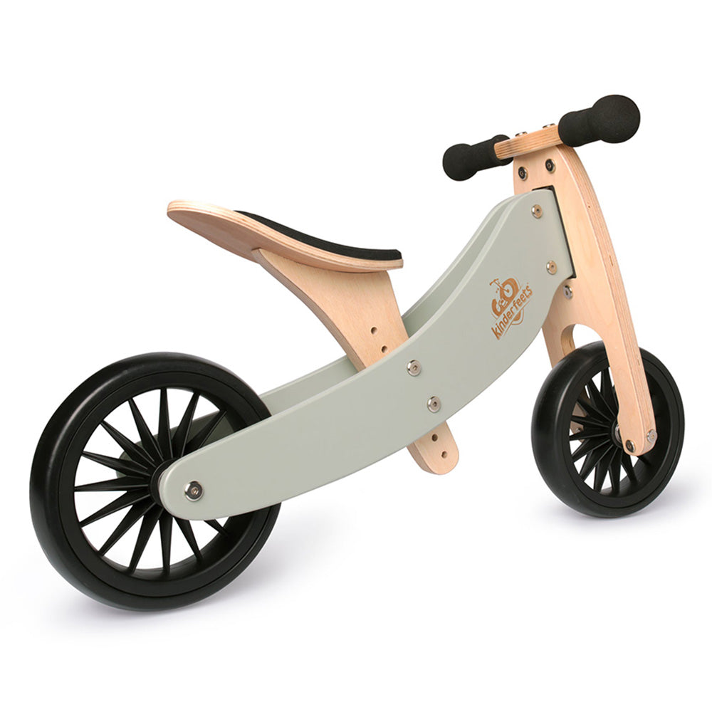 2-in-1 Tiny Tot Tricycle & Balance Bike