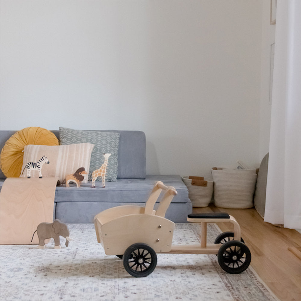 Cargo Bike