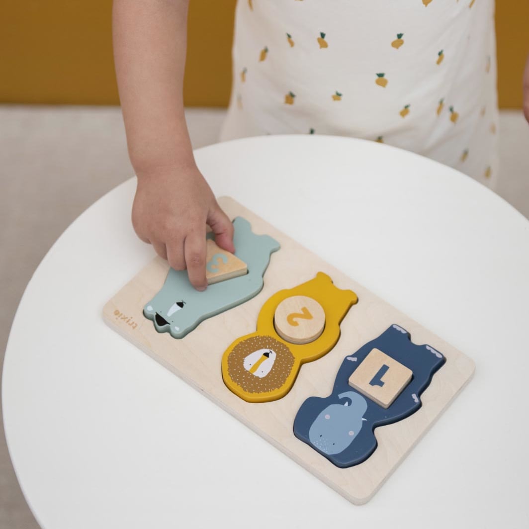 Wooden Counting Puzzle